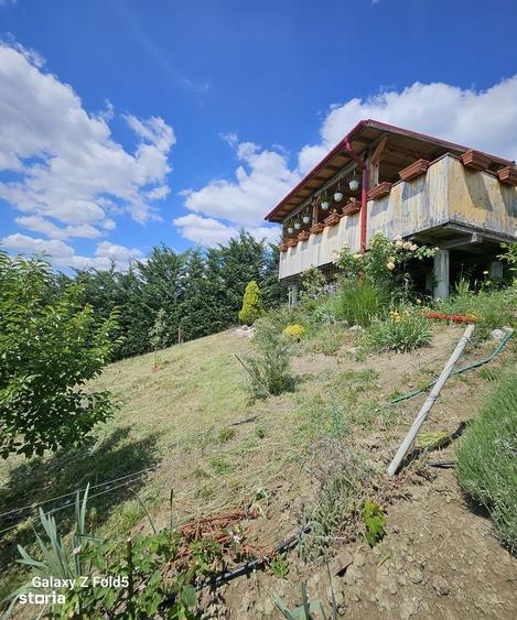 Casa noua Podgoria, 1035 mp teren - 13