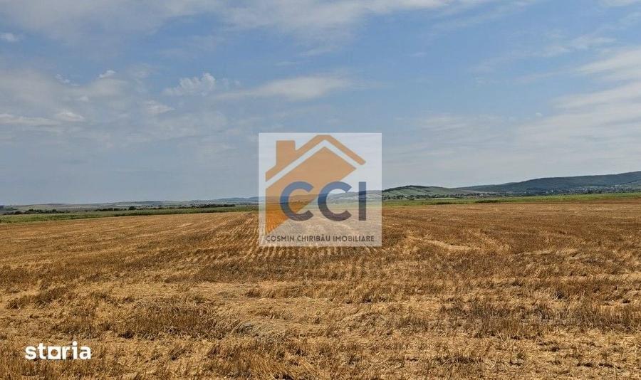 Teren de 50000 mp, în Letea Veche