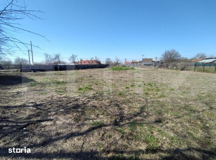Teren de 1685 mp, în Almăj