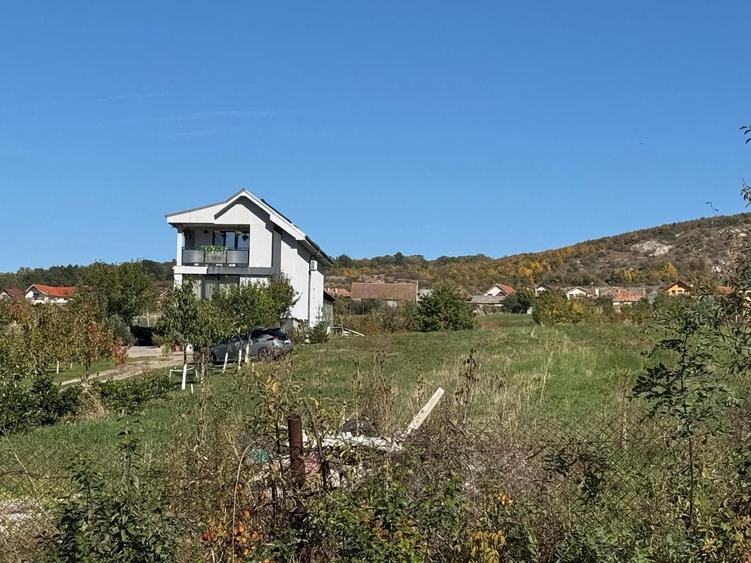 Teren Construcții intravilan de 3000 mp, în Betfia