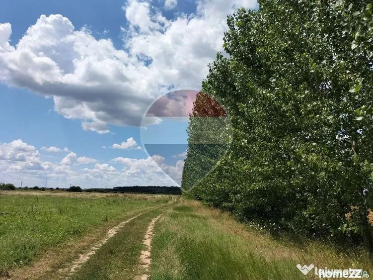Teren în Crevedia