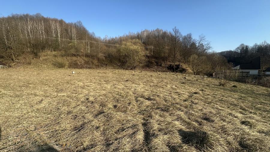 Teren Construcții intravilan de 2500 mp, în Firiza