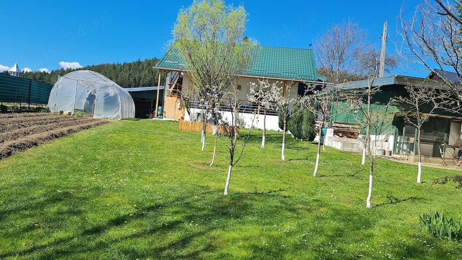 Vand casa in Com.Frumosu Jud.Suceava - 1
