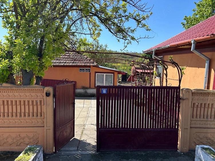 Casă cu 4 camere cu Teren 25000 Mp în Crângu