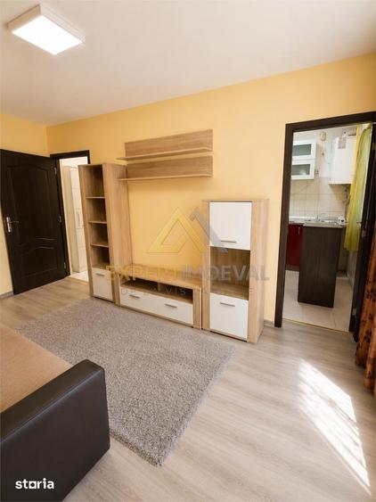 Apartament cu 2 camere în Săsar