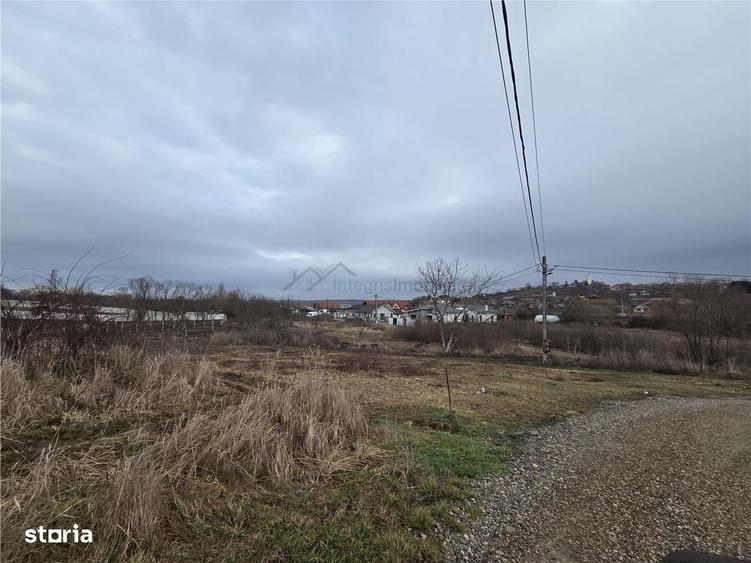 Teren intravilan,dublu front,Paleu,Oradea,Bihor - 1