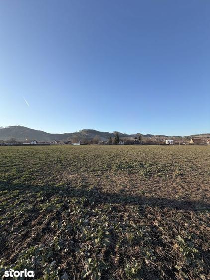 Teren de 650 mp, în Central