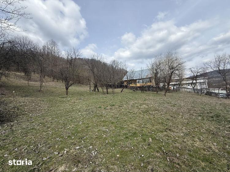 Teren de 6040 mp, în Provița de Jos