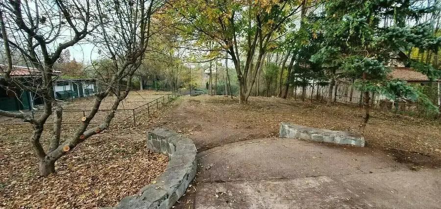 Vilă pe malul lacului, 6 camere, Snagov - 8