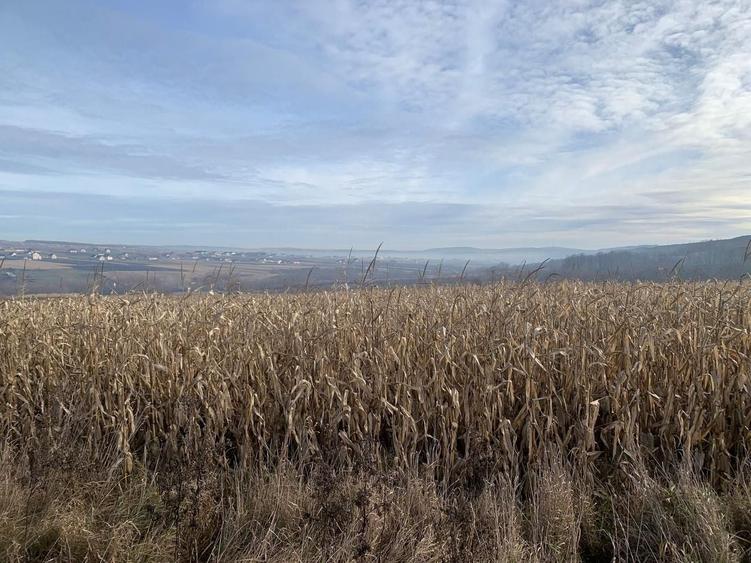 Teren Construcții intravilan de 7800 mp, în Est