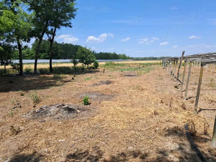 Casă cu 5 camere cu Teren 2636 Mp în Gherghița