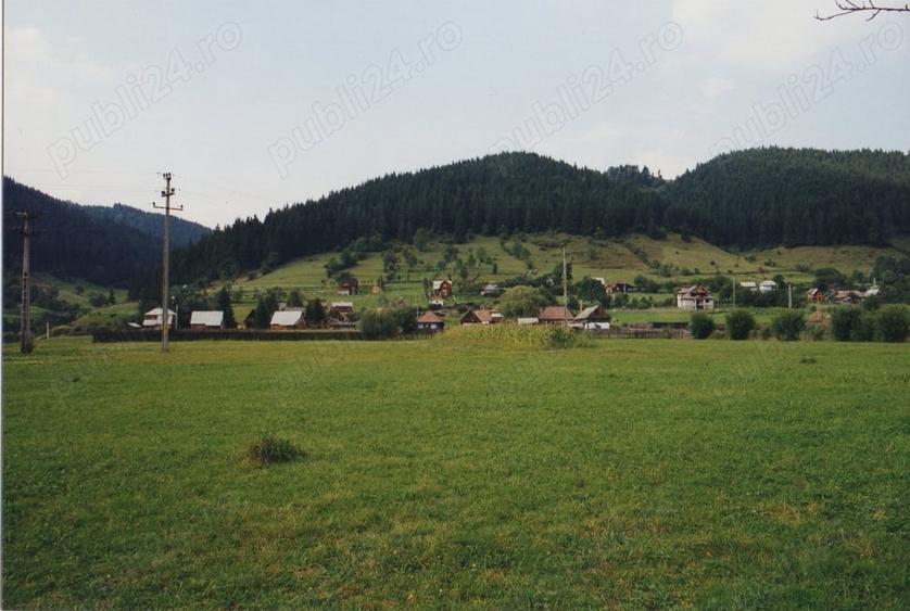 Teren de 7000 mp, în Lunca