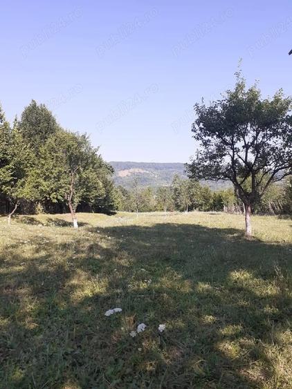 Teren de 3753 mp, în Central
