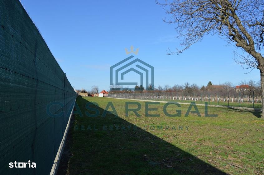 Teren de 2992 mp, în Biharia