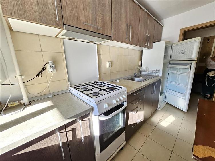 Apartament 1 camera, de inchiriat, pet friendly, zona Calea Turzii - 3