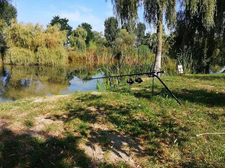 Teren de 2 mp, în Central