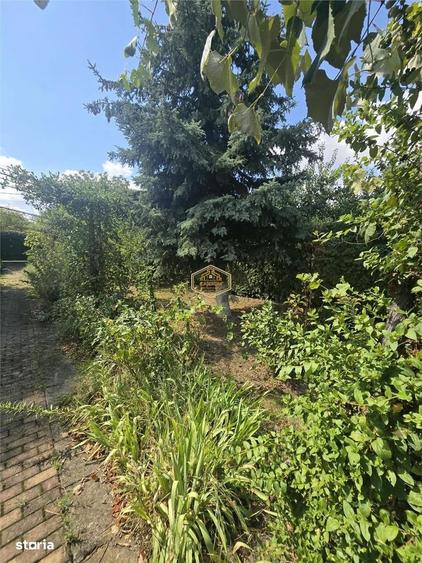 Casa de vacanta cu teren 569 mp | Str. 9 Mai - Bercu Rosu | - 7