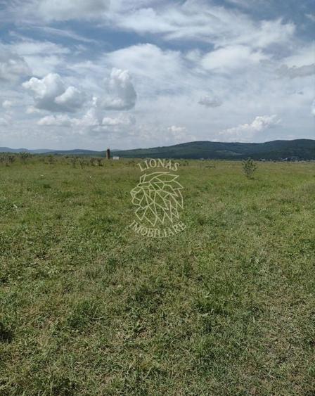Teren agricol extravilan de 23700 mp, în Jelna