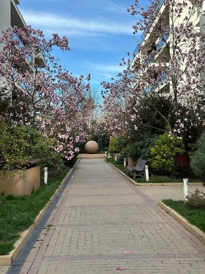 Apartament cu 4 camere decomandat, mobilat în Exterior Vest