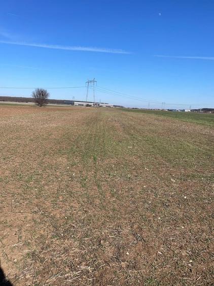 Teren Construcții intravilan de 10759 mp, în Ciorogârla