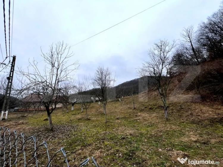 Teren în Stremț