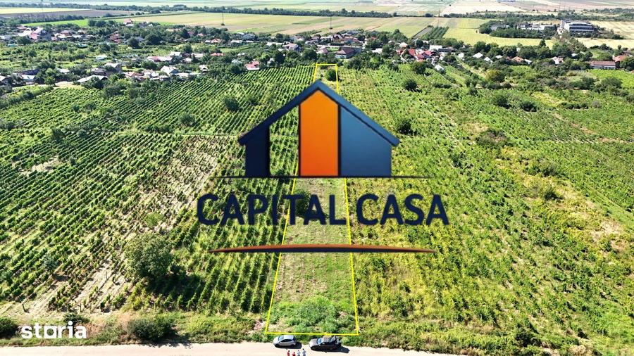 Teren intravila in Valea Calugareasca - 3
