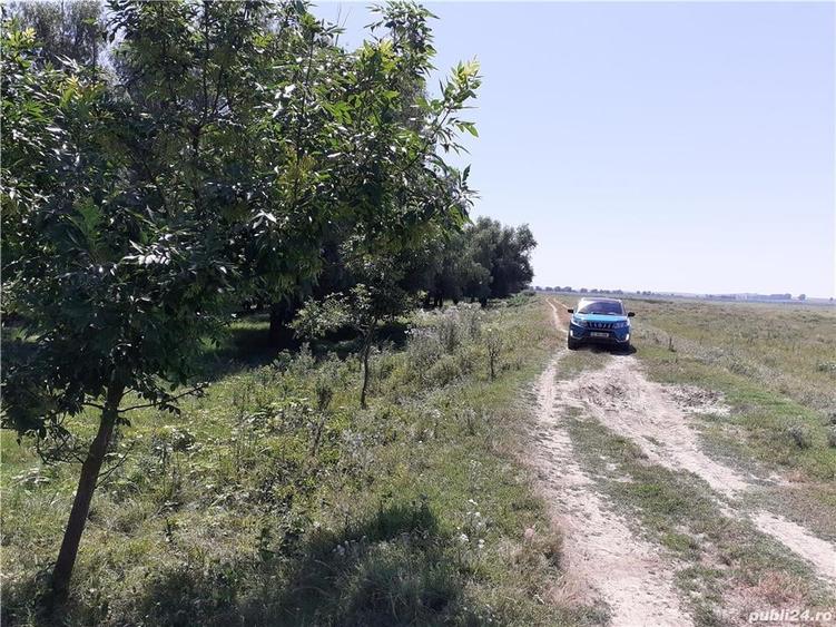 Teren în Mahmudia