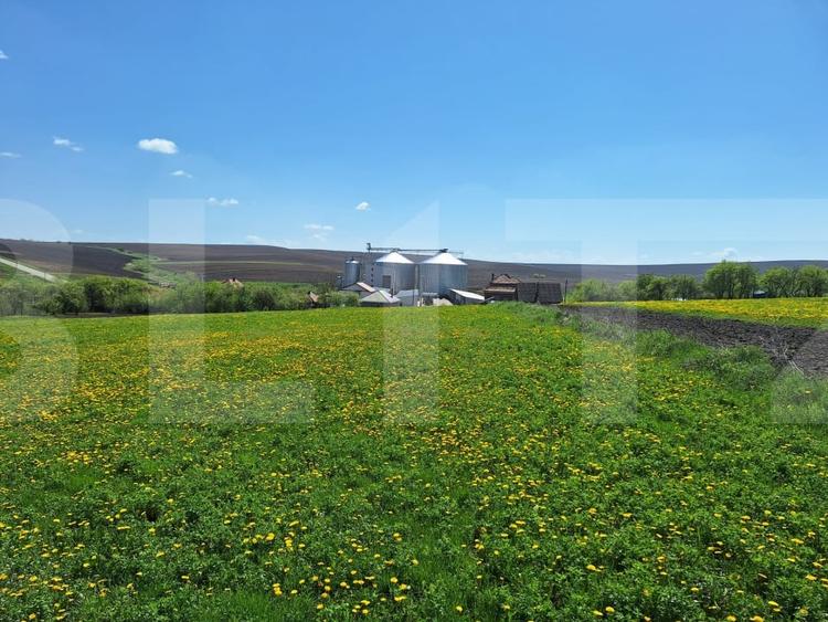 Teren agricol intravilan de 3055 mp, în Rediu