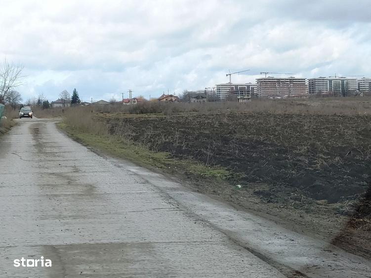 Viticulori, intrare prin Pacurari sau Aleea M. Sadoveanu, 2820 mp - 8