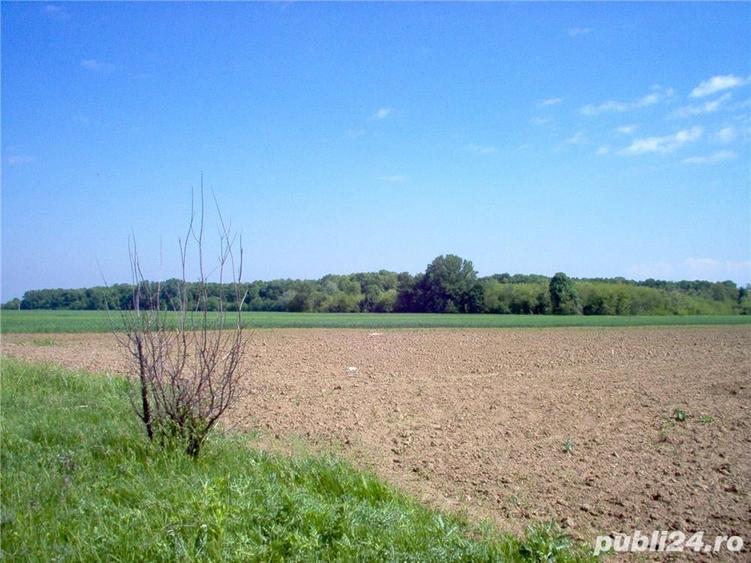 Teren de 575 mp, în Clinceni
