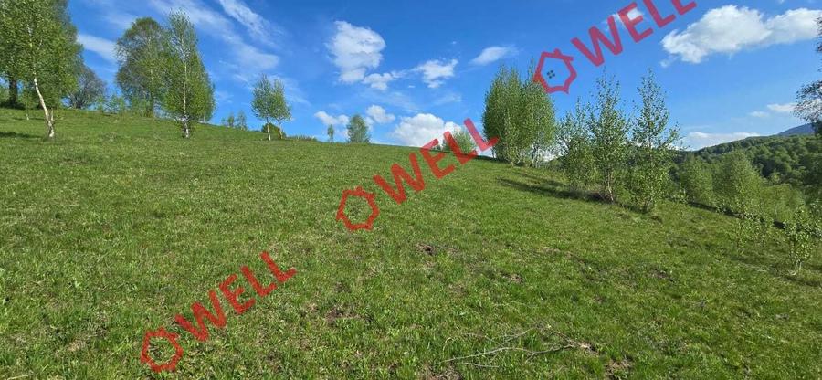 Teren agricol extravilan de 1740 mp, în Vama Buzăului