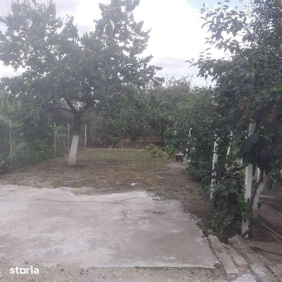 Casă cu 4 camere cu Teren 360 Mp în Micălaca