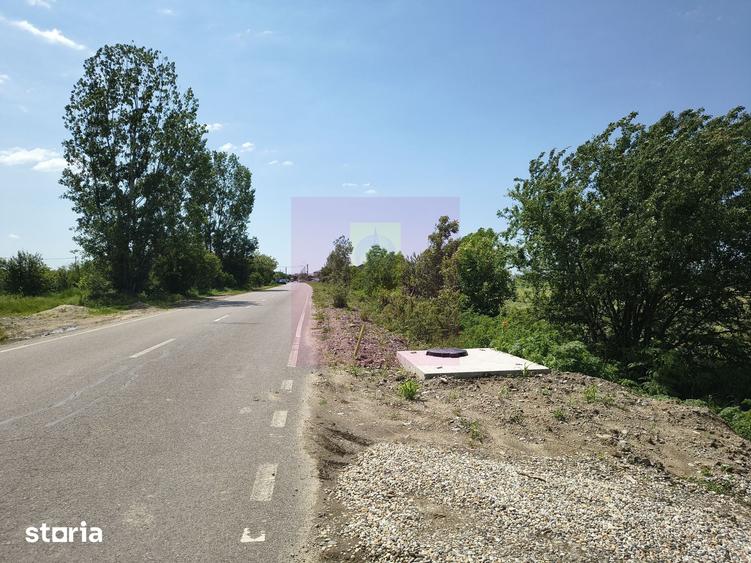Teren de 1167 mp, în Cernica