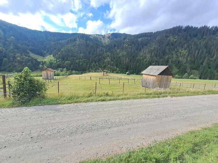 Spațiu comercial, în Ortoaia