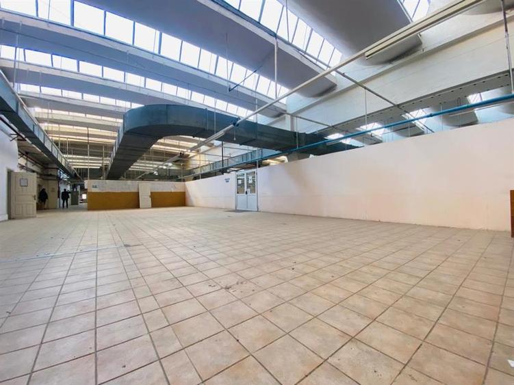 Spațiu industrial, de 9,023 mp, în Industrială