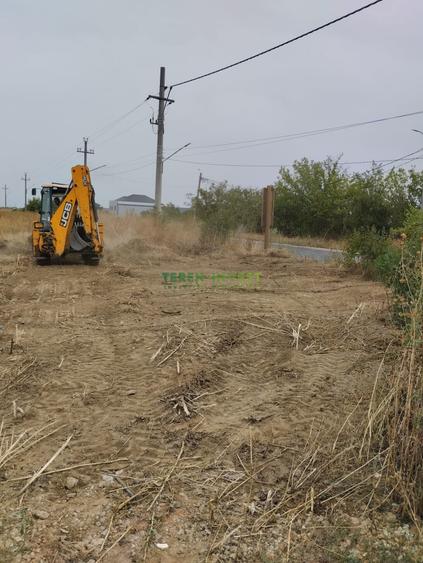 Teren Construcții intravilan de 5000 mp, în Cernica