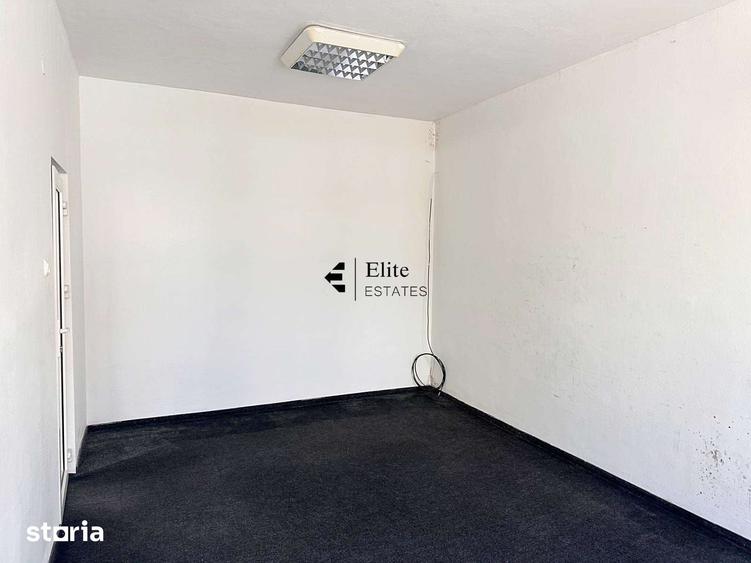 Spațiu comercial, de 160 mp, în Nufărul