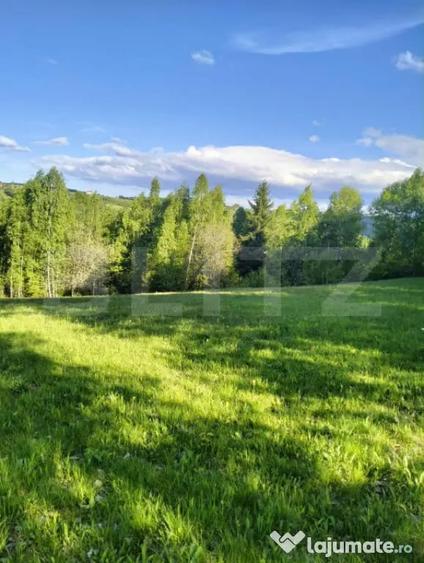 Teren de 7000 mp, în Gilău