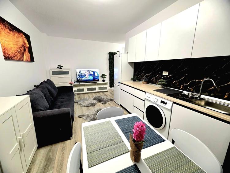 Apartament cu 2 camere semidecomandat în Ciric