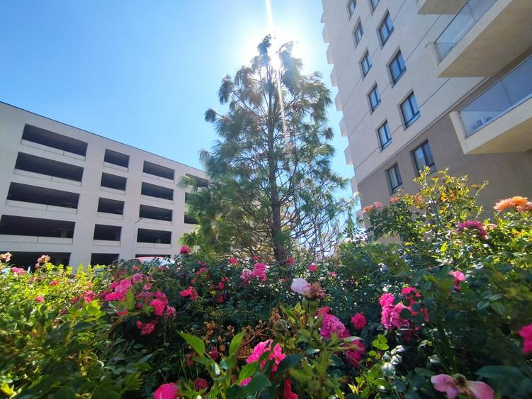 Apartament cu 2 camere decomandat în Boreal