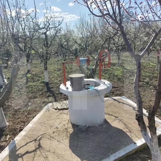 Teren Construcții intravilan de 1785 mp, în Leorda