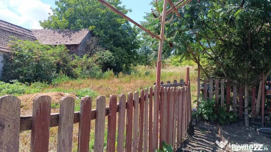 Casă cu 4 camere cu Teren 2000 Mp în Alțina