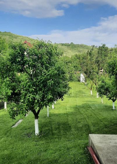 Casă cu 4 camere cu Teren 1647 Mp în Vitioara de Sus