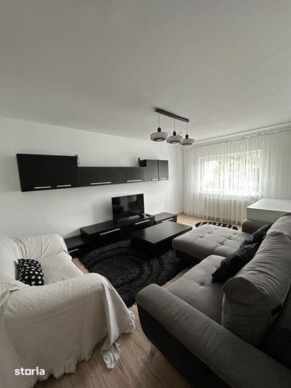Inchiriere apartament 2 camere, 49 mp - Paltinis, Scoala 23 - 4