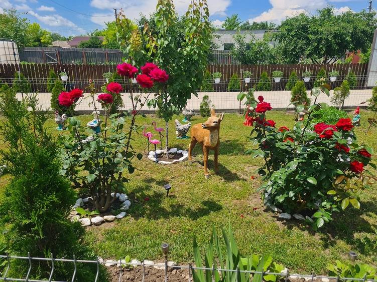 Casă cu 4 camere cu Teren 1049 Mp în Corbu (Glodeanu-Siliștea)
