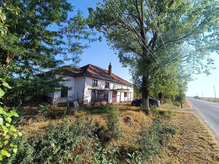 Teren de 69199 mp, în Olari