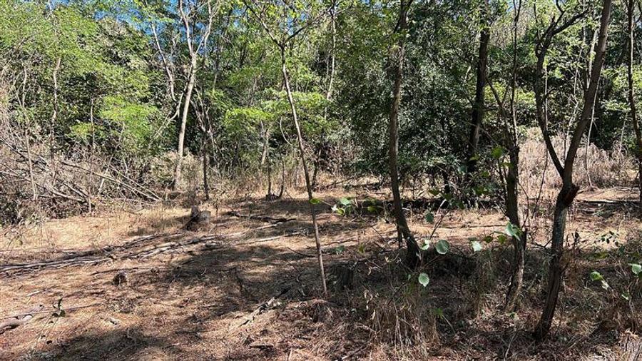 Teren extravilan de 3600 mp, în Bradu