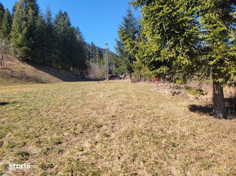 Teren de 4200 mp, în Sucevița