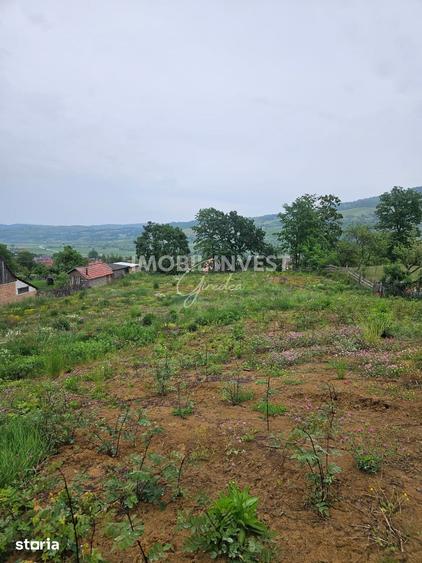 Teren de 3066 mp, în Pianu
