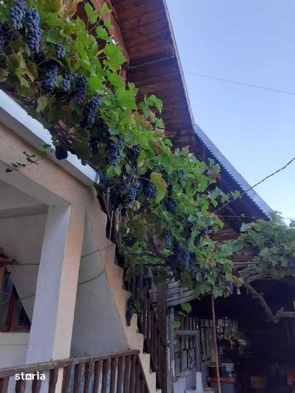Casa de vanzare - Valea Caselor Dambovita - 6